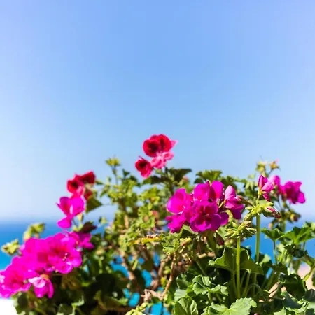 Brezza Marina 3* Tropea