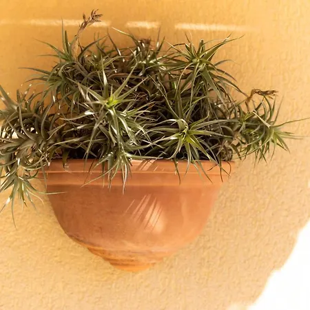 Brezza Marina Tropea