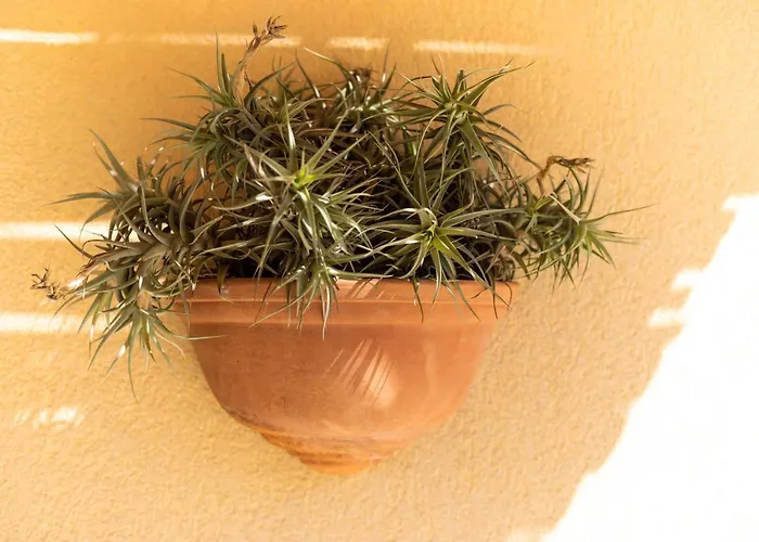 Brezza Marina Tropea