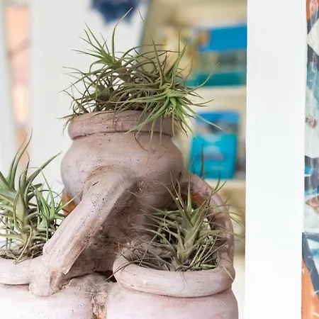 ベッド・アンド・ブレックファスト Brezza Marina