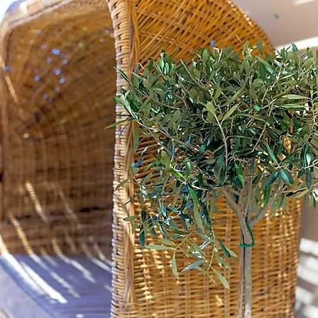 Bed & Breakfast Brezza Marina